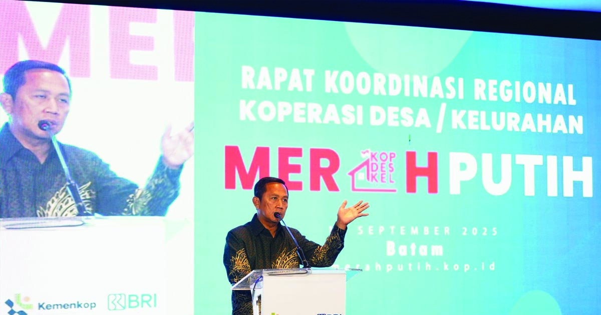 kopdes