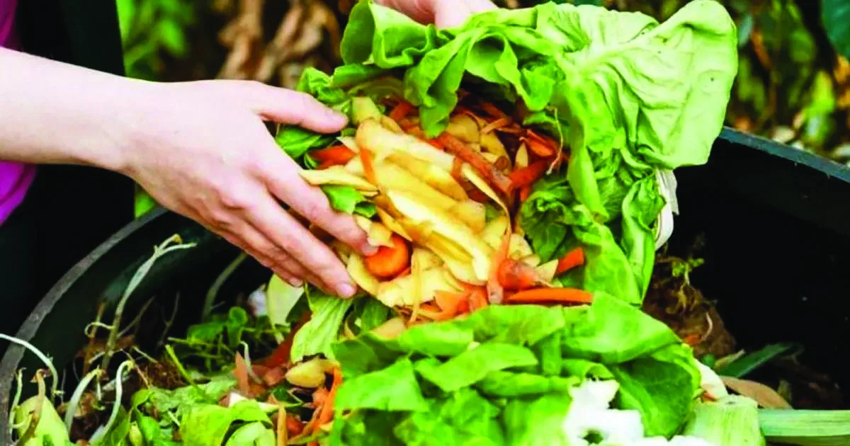 sayur