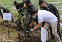 Tanam 1.500 Pohon Bambu, Uni-Charm Turut Beri Kontribusi ke Program Citarum Harum