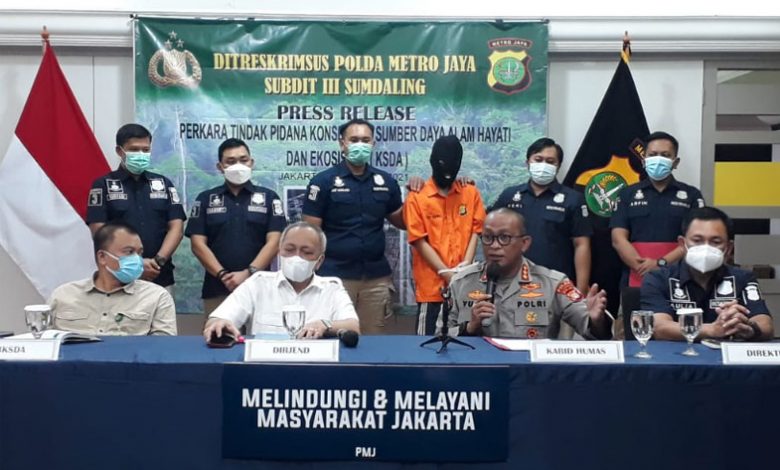 Polda Metro Jaya melakukan konferensi pers terkait penjualan satwa illegal.