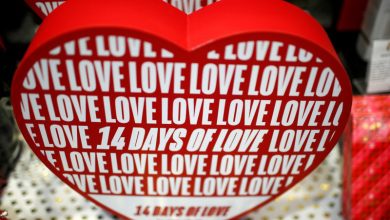 Asyik, Pasangan Prancis Rayakan Valentine dengan “Sex Toy” di Masa Pandemi