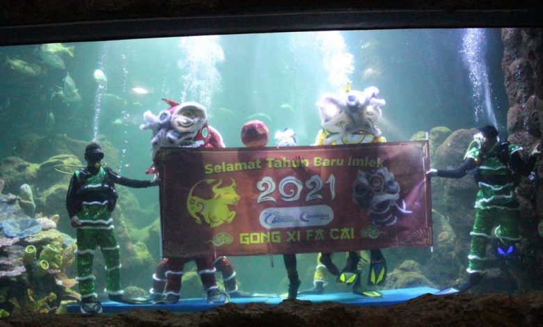 Sea World Hadirkan Barongsai Underwater Di Imlek 2021