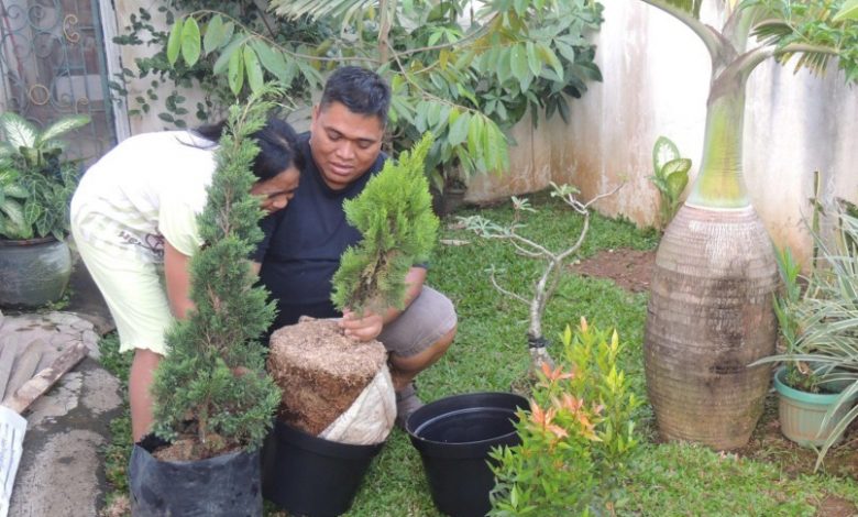 Libur Imlek, Pemprov Banten Imbau Masyarakat Berdiam Diri di Rumah