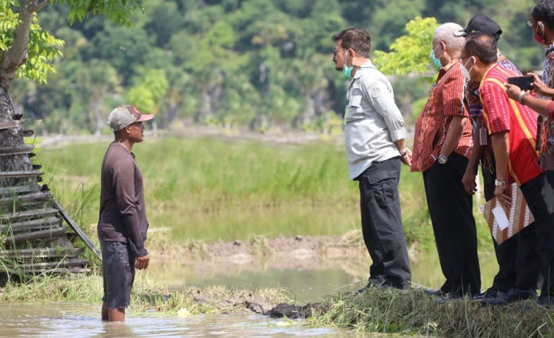 Mentan Tinjau Food Estate Baru di NTT