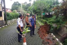 Akibat Hujan, Pohon Tumbang dan Longsor Terjadi di Depok
