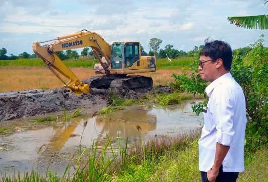 Kepala Bppsdmp Kementan Dedi Nursyamsi Mengimbau Penyuluh Terus Ke Lapangan Mendampingi Petani Berproduksi. Foto: Kementan