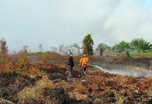 Kebakaran Hutan di Aceh Barat Bertambah