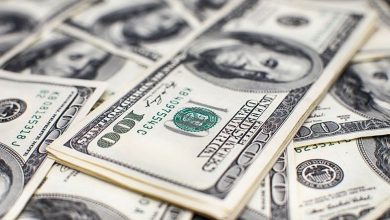 Tumpukan Uang Seratus Dolar. Foto : Antara/Shutterstock/Pri.