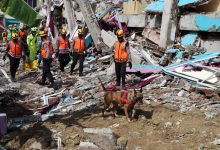 Dua Bulan Pasca Gempa Sulbar, BNPB: 8.658 Warga Masih Mengungsi