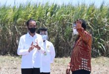 Pabrik Gula JBM, Pabrik Gula Pertama Milik Pribumi dan Terbesar di Asia Tenggara