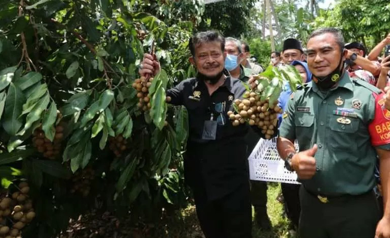Menteri Pertanian Dorong Pengembangan Agrowisata Buah Lokal