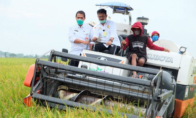 indoposco Inilah 10 Besar Provinsi Produsen Beras
