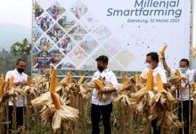 Millenial Smartfarming, Upaya BNI Kawal Pertanian Masa Depan
