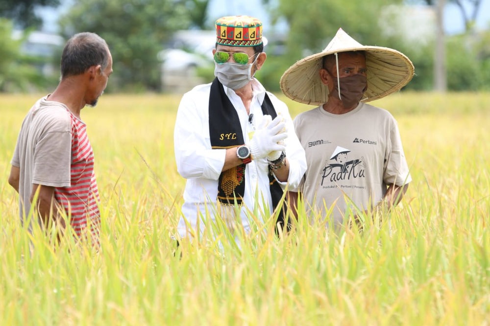 Mentan Syahrul Yasin Limpo (tengah) bersama petani memantau areal persawahan untuk memastikan produktivitas hasil panen. Foto: Kementan