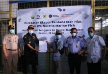indoposco Dihargai Tinggi di Luar Negeri, Ekspor Ikan Hias Disebut Bea Cukai Lebih Menguntungkan