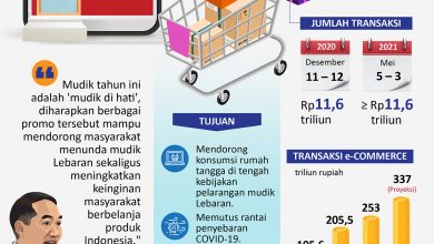 Potensi E-Commerce Hari Bbi 2021