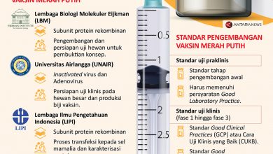 Vaksin Merah Putih Untuk Indonesia Bangkit Dari Covid-19