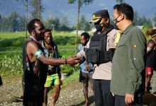 Situasi Papua Sudah Aman, Kepala Suku Puncak Gelar Tradisi Bakar Honai di Ilaga