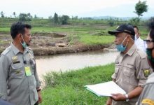 Mentan Syahrul Yasin Limpo (kiri) memantau lahan pertanian di daerah irigasi yang menjadi target Program IPDMIP. Foto: Kementan