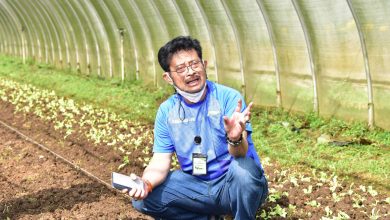 Sepanjang 2021, NTP Stabil Tinggi Tanda Kesejahteraan Petani Membaik