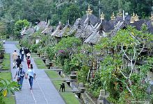 Genjot Pariwisata, Pemerintah Perkuat Destinasi Desa Wisata Taro Bali