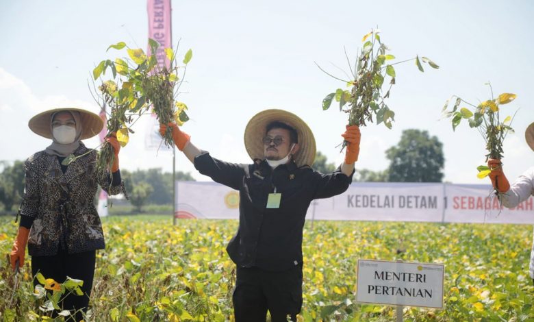 Syahrul Dorong Tani Foundation Tingkatkan Kesejahteraan Petani