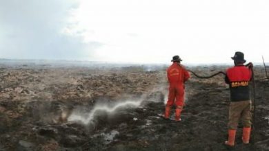 Terdeteksi 148 Titik Api Di Hutan Riau