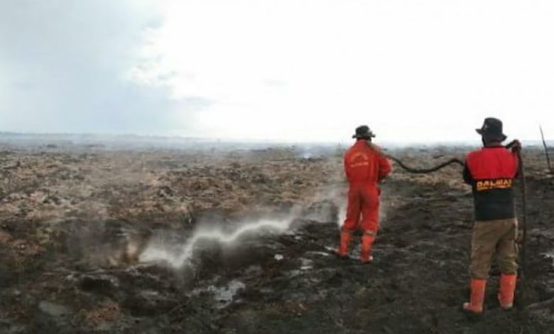 Terdeteksi 148 Titik Api Di Hutan Riau