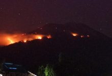 Kebakaran hutan dan lahan terjadi di lereng Gunung Ile Lewotolok, Kabupaten Lembata, Nusa Tenggara Timur, Rabu (28/7/2021). Foto : Antara/HO-BNPB