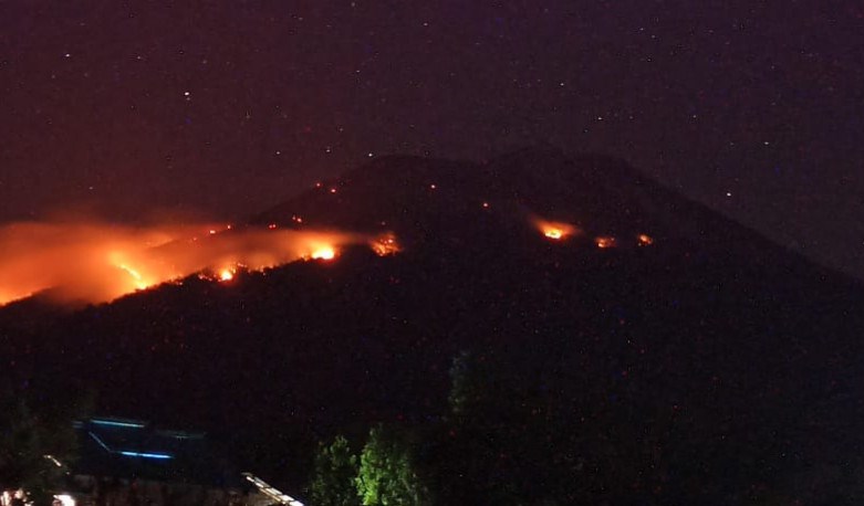 Kebakaran Hutan Dan Lahan Terjadi Di Lereng Gunung Ile Lewotolok, Kabupaten Lembata, Nusa Tenggara Timur, Rabu (28/7/2021). Foto : Antara/Ho-Bnpb