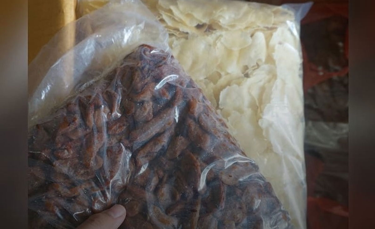 indoposco