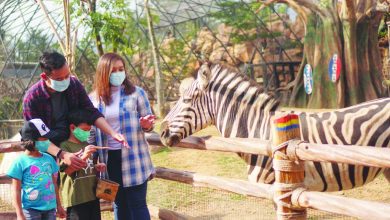 Royal Safari Garden Liburan Dengan Edukasi Satwa