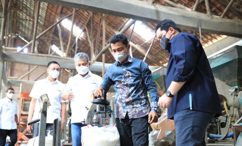 Menteri Bumn Dan Bri Dukung Produksi Padi Model Bisnis Klaster &Amp; Penggunaan Teknologi Modern Di Cirebon