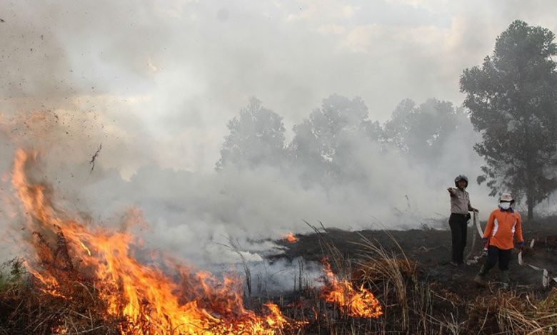 Waspada Kebakaran Hutan, BMKG Deteksi 73 Titik Panas di Kaltim