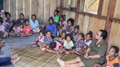 Pemerintah Fokus Pembangunan Enam Sektor di Papua