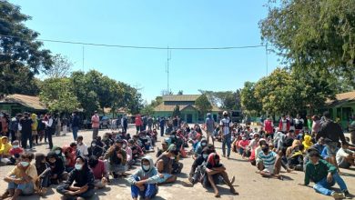Ratusan Penyintas Ilegal asal Timor Leste Dideportasi