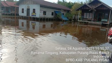 Tiga Desa Di Pulang Pisau Masih Terendam Banjir