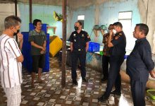 indoposco Dorong Ekspor, Bea Cukai di Maluku Asistensi Para Pelaku Usaha