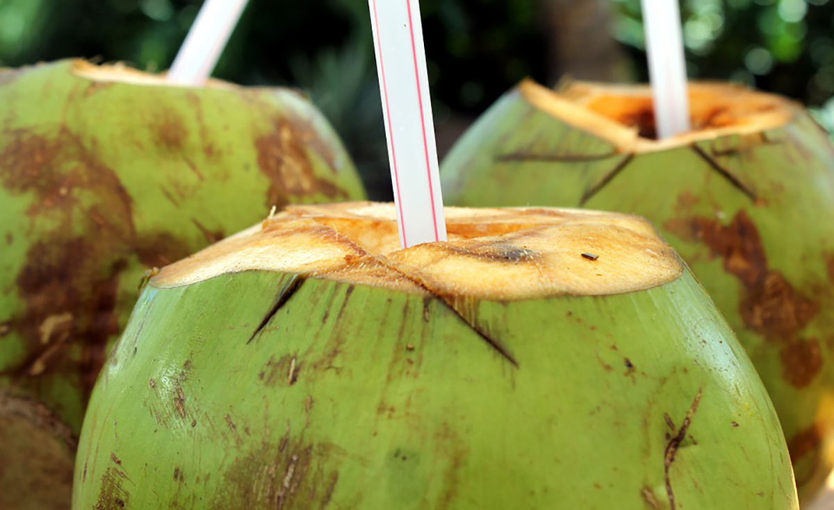 air kelapa
