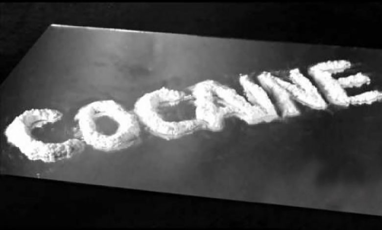 Montenegro Gagalkan Penyelundupan 1 Ton Kokain Di Pengiriman Pisang