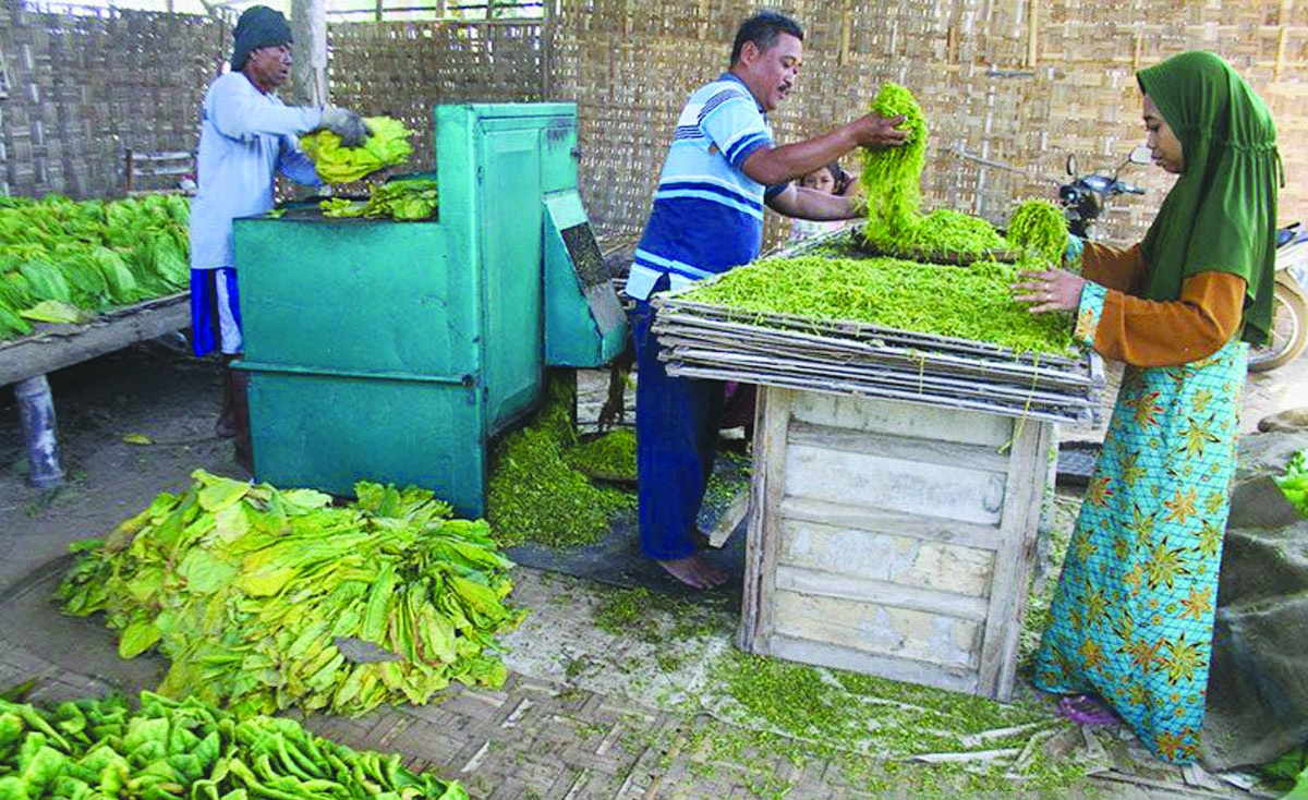 Yang Ngerokok Siap Siap Tarif Cukai Hasil Tembakau Naik Indoposco