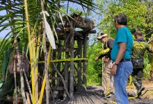 Polda Banten Segel Penambangan Liar di Lahan Perhutani Lebak