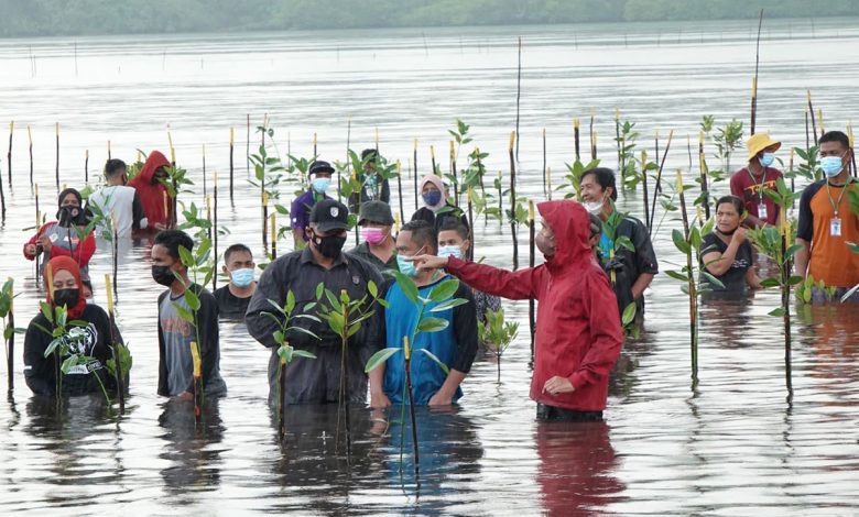 Turun Ke Laut, Presiden Joko Widodo Tanam Mangrove Bersama Masyarakat Di Batam