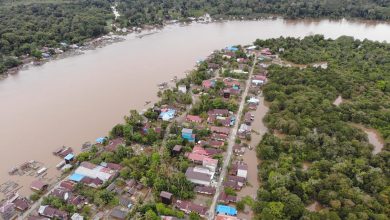 Banjir Mulai Surut, Upaya Penanganan Bencana Di Kalteng Terus Diupayakan