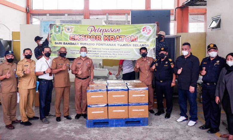 indoposco Perdana, Ekspor Tepung Kratom Kalimantan Barat ke Pasar Eropa