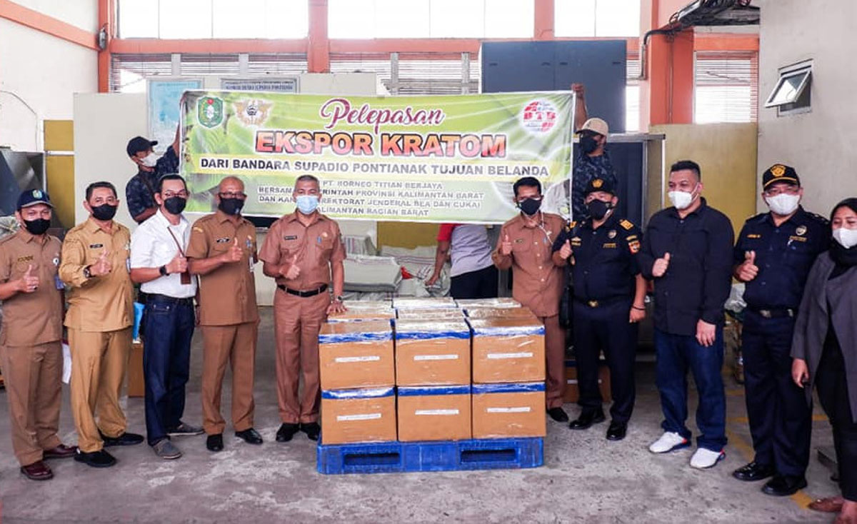 indoposco Perdana, Ekspor Tepung Kratom Kalimantan Barat ke Pasar Eropa