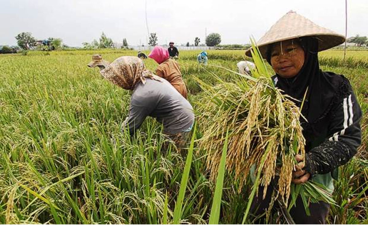 indoposco