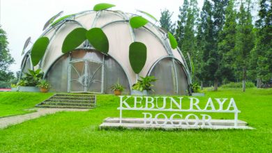 Wali Kota Bogor Minta Wisata Malam Kebun Raya Dihentikan