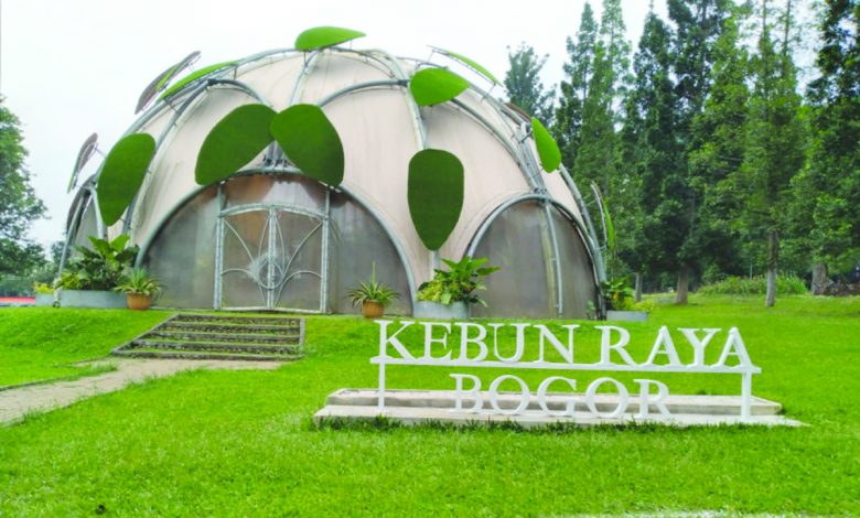 Wali Kota Bogor Minta Wisata Malam Kebun Raya Dihentikan