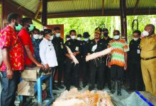 Mentan Dorong Hutan Sagu Papua Barat Menjadi Lahan Agrowisata